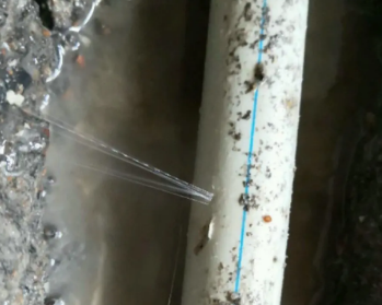 景德镇市卫生间测漏水多少钱