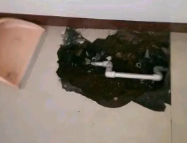 景德镇市卫生间测漏水多少钱